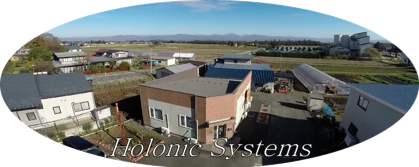 Holonic Systems