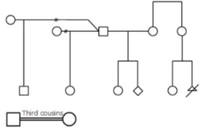 relation line