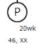 female symbol